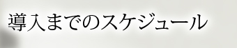 導入までのスケジュール