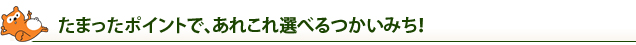 たまったポイントで、あれこれ選べるつかいみち！